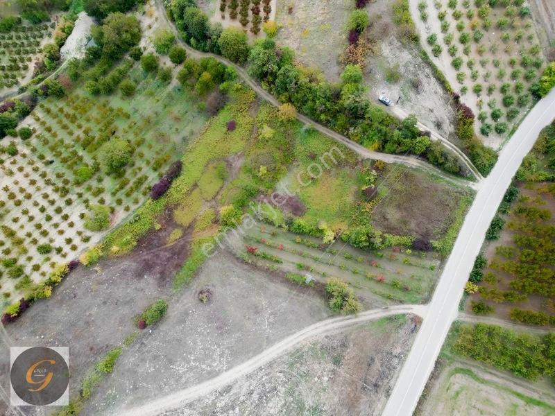 İnegöl Deydinler Mahallesinde Satılık Tarlalar — fotoğraf 16