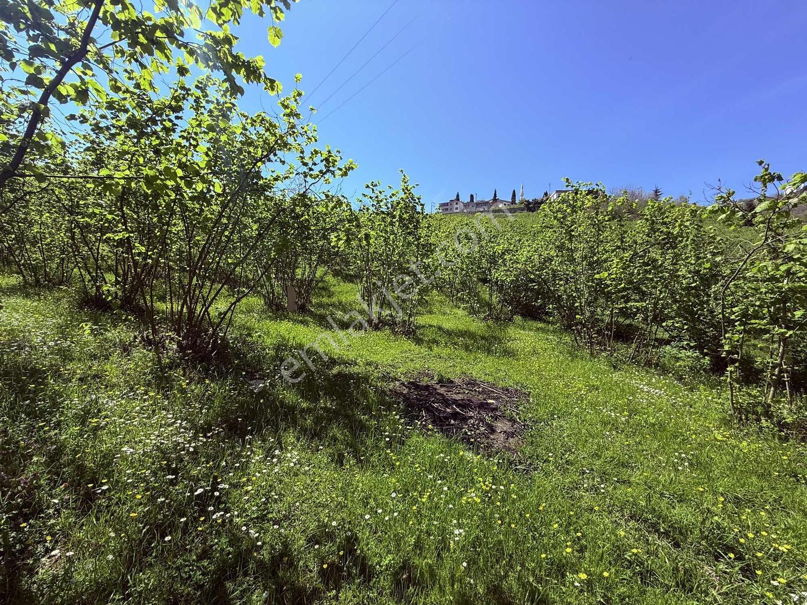 Ula Group'dan Gürbulak Güzel Yalı'da Satılık 3.611 M2 Arazi — fotoğraf 3