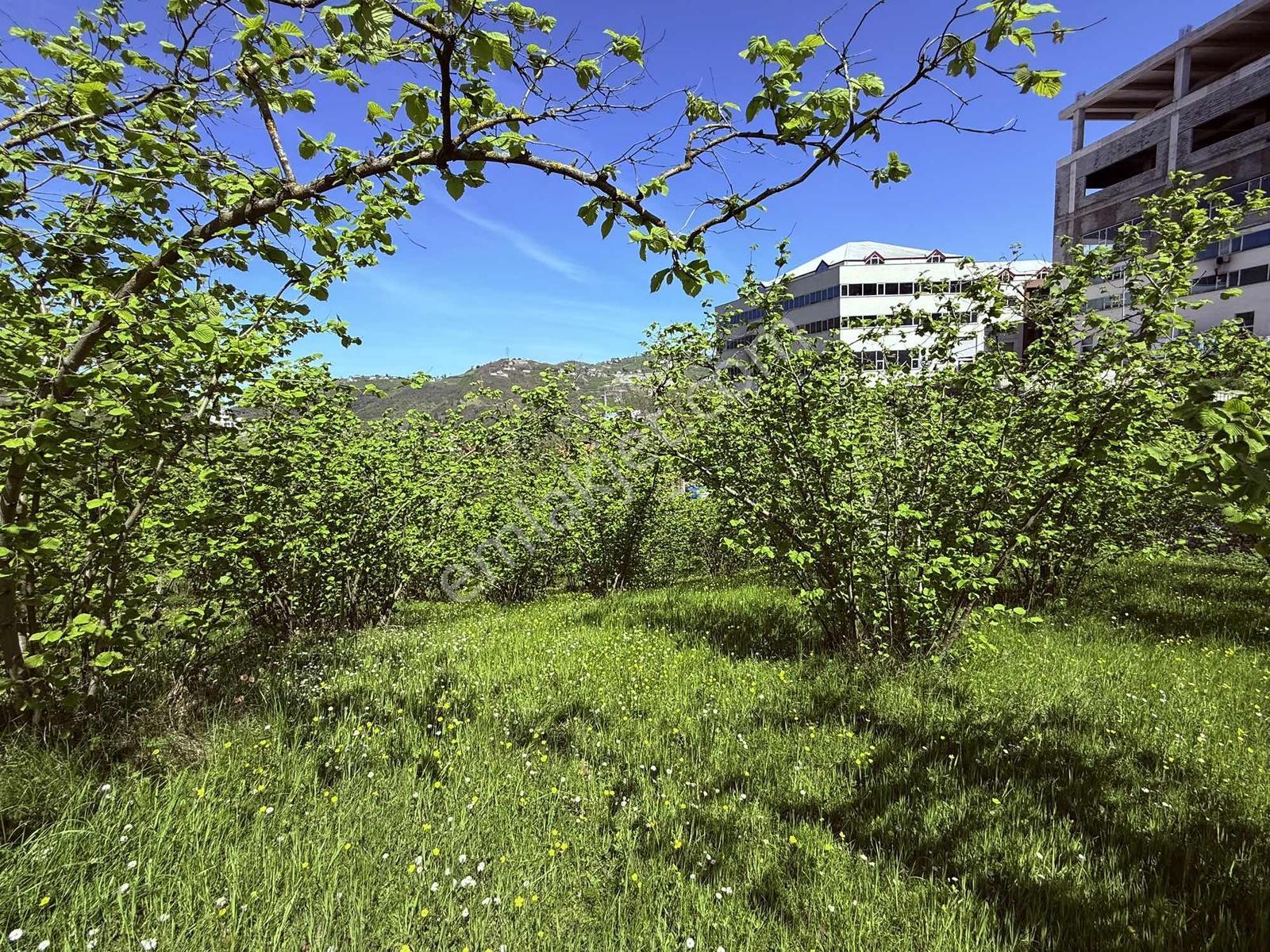 Ula Group'dan Gürbulak Güzel Yalı'da Satılık 3.611 M2 Arazi — fotoğraf 7
