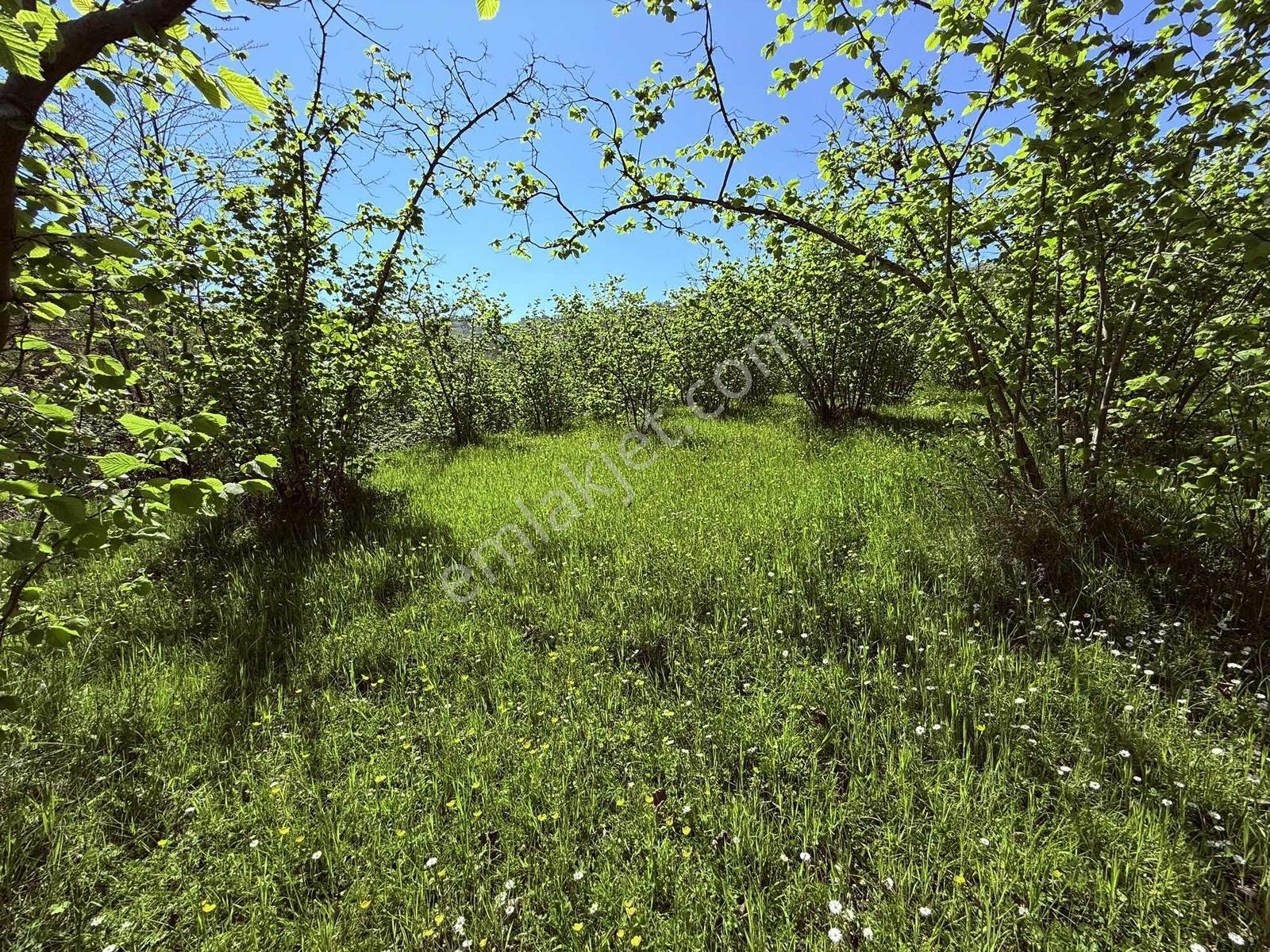 Ula Group'dan Gürbulak Güzel Yalı'da Satılık 3.611 M2 Arazi — fotoğraf 8