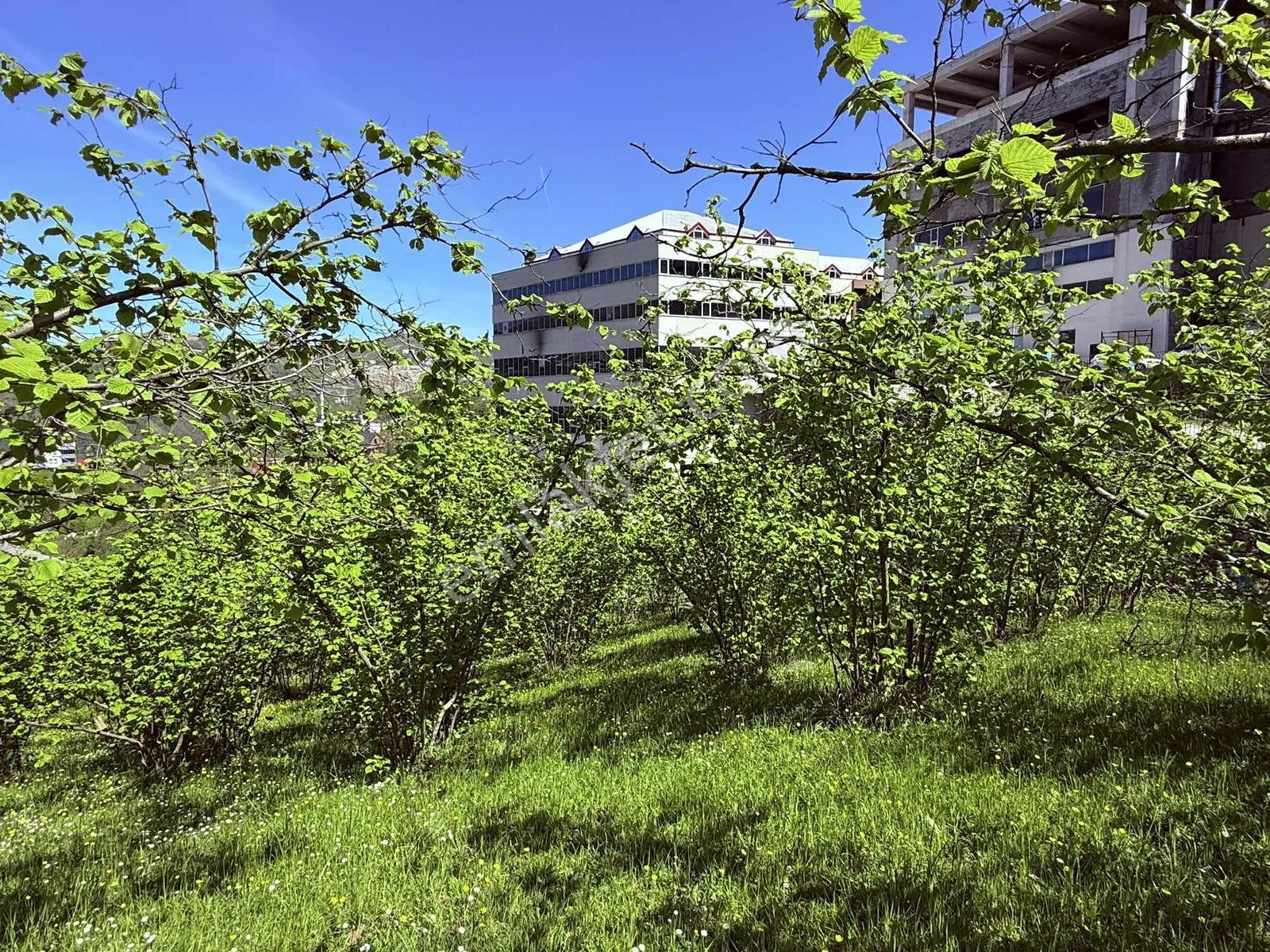 Ula Group'dan Gürbulak Güzel Yalı'da Satılık 3.611 M2 Arazi — fotoğraf 9