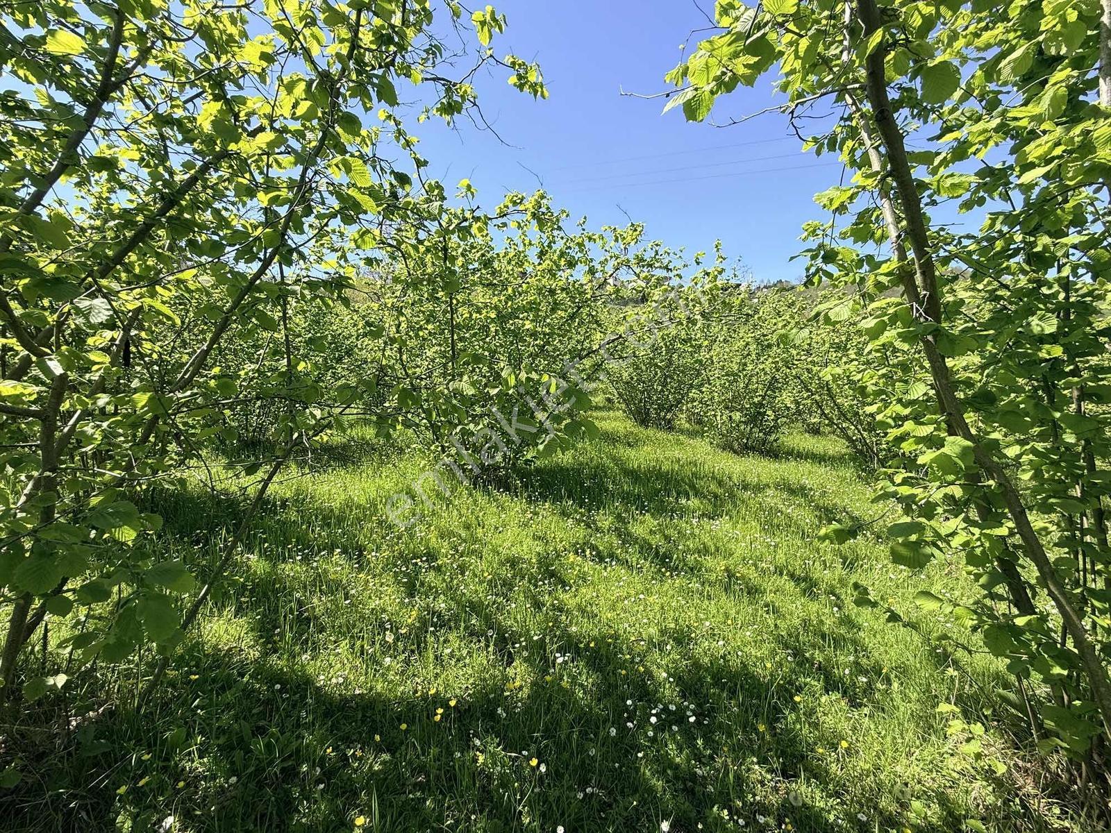 Ula Group'dan Gürbulak Güzel Yalı'da Satılık 3.611 M2 Arazi — fotoğraf 10