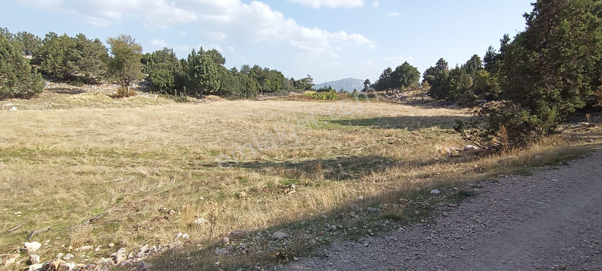 Wisrem'Den Güvenli'De Satılık 927 M² Tarla