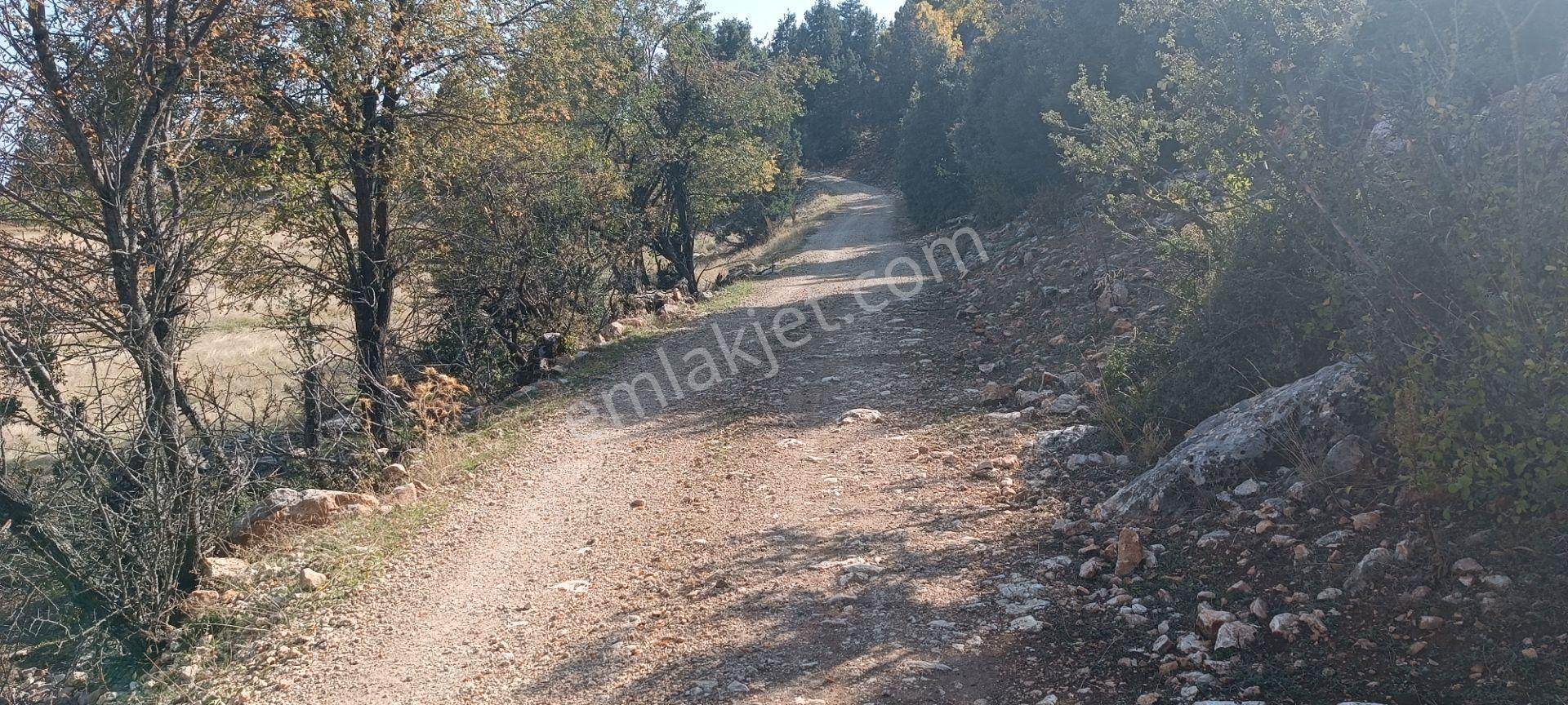 Wisrem'den Güvenli'de Satılık 927 M² Tarla — fotoğraf 2