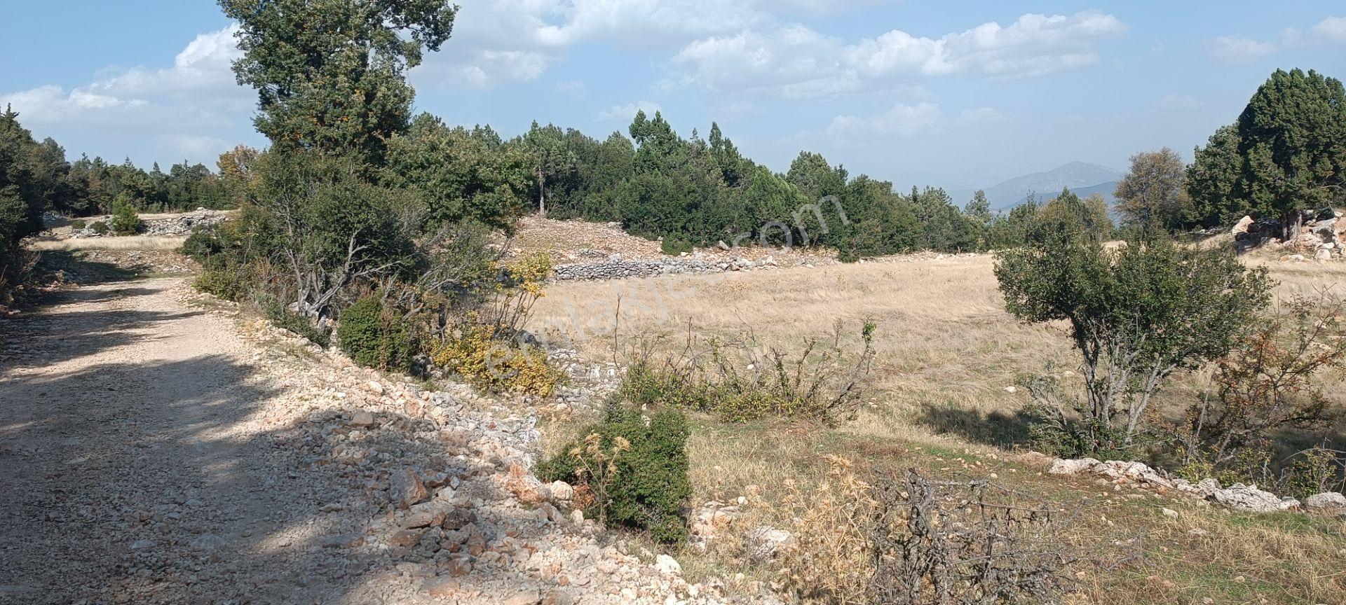 Wisrem'den Güvenli'de Satılık 927 M² Tarla — fotoğraf 3