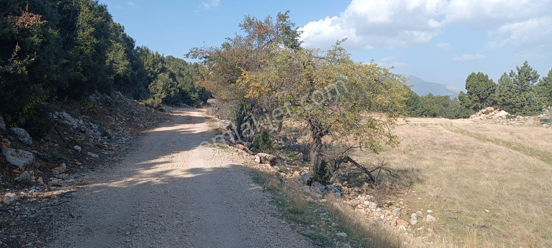 Wisrem'den Güvenli'de Satılık 927 M² Tarla — fotoğraf 5