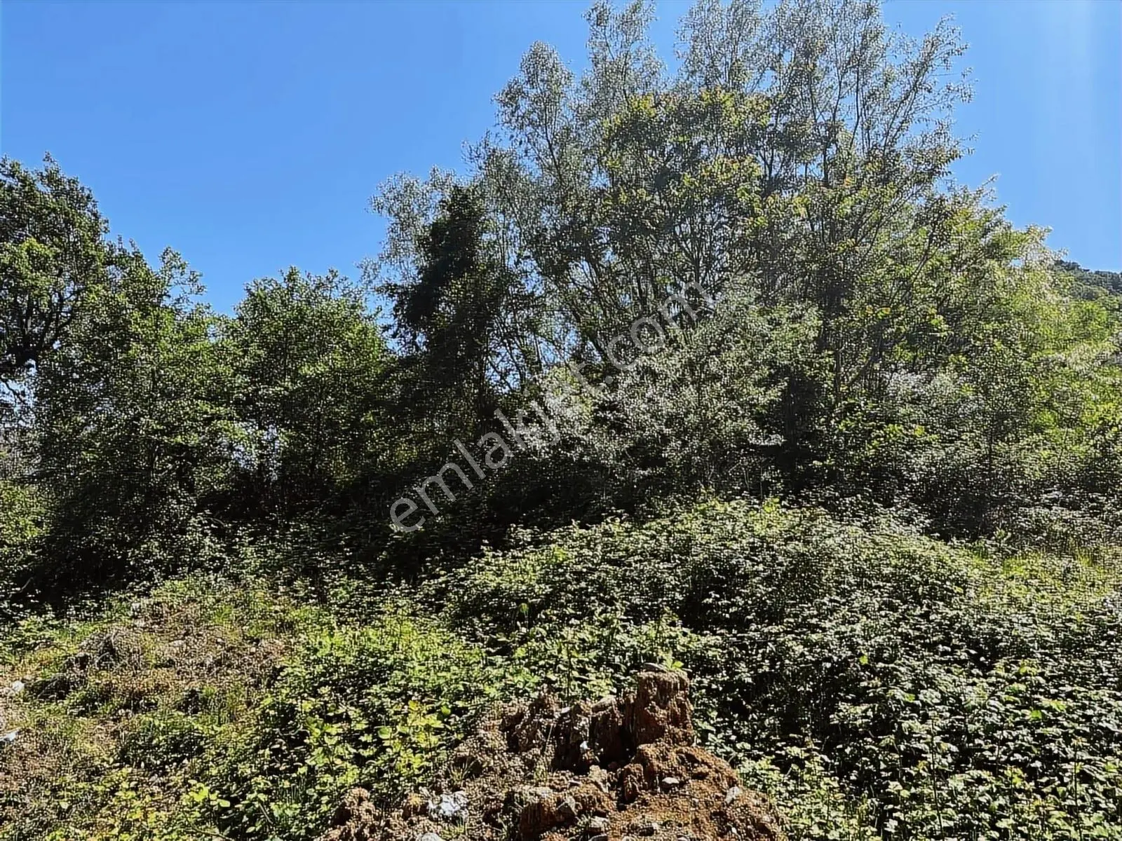 Ula Group'dan Arsin'de Sahil Yoluna 200 Mt Deniz Manzaralı Arsa — fotoğraf 4