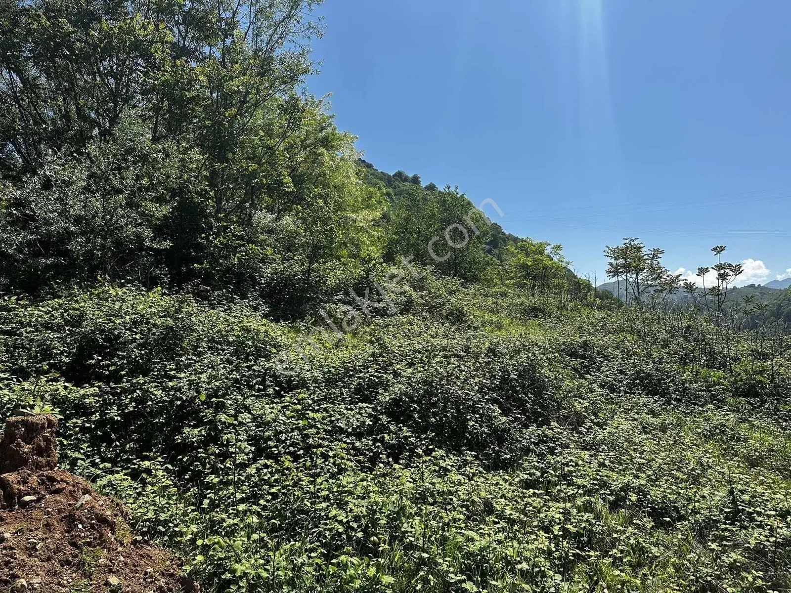 Ula Group'dan Arsin'de Sahil Yoluna 200 Mt Deniz Manzaralı Arsa — fotoğraf 5