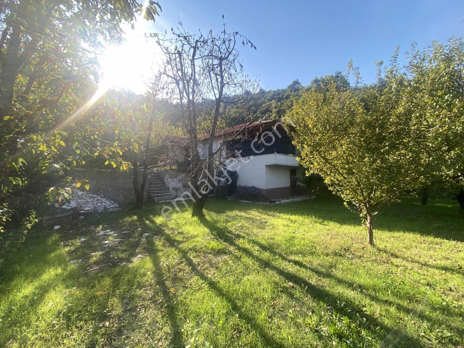 Amasya Yeşilyenice Karaağaç Mevki Satılık Bağ /bahçe 820 Mk. — fotoğraf 2