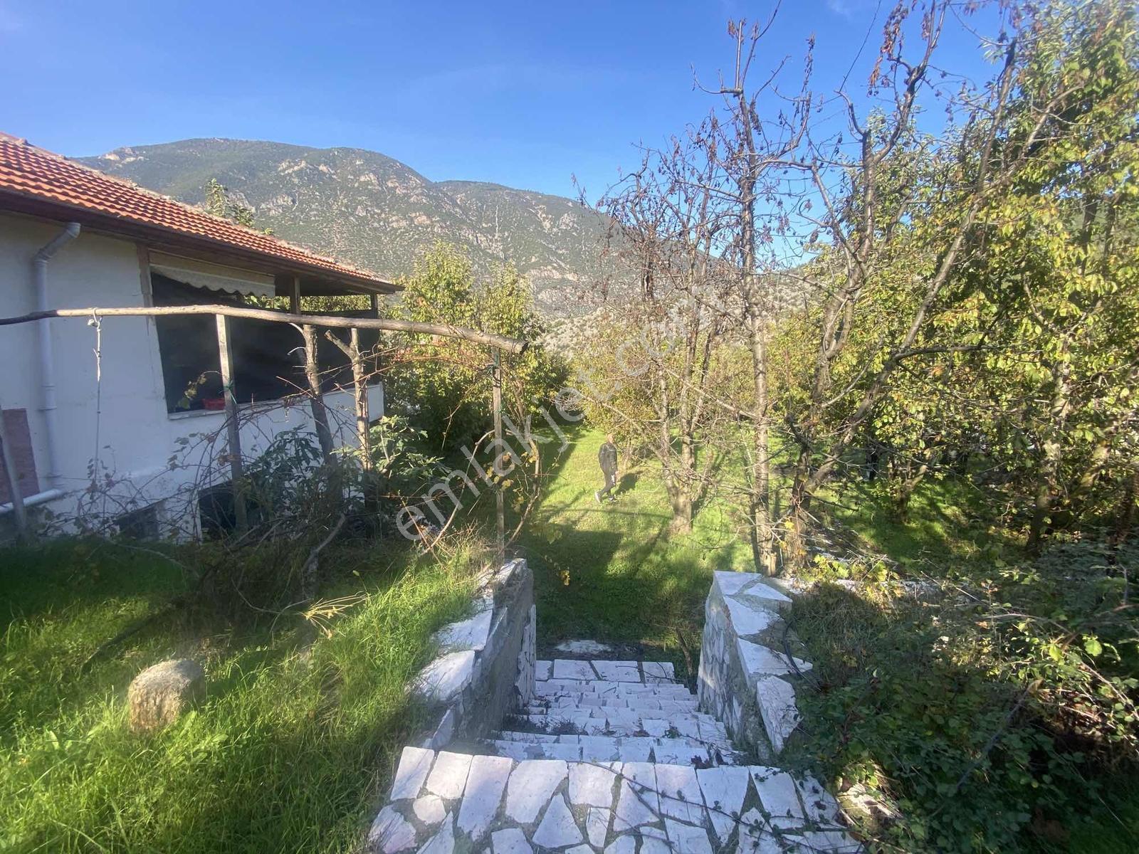 Amasya Yeşilyenice Karaağaç Mevki Satılık Bağ /bahçe 820 Mk. — fotoğraf 3