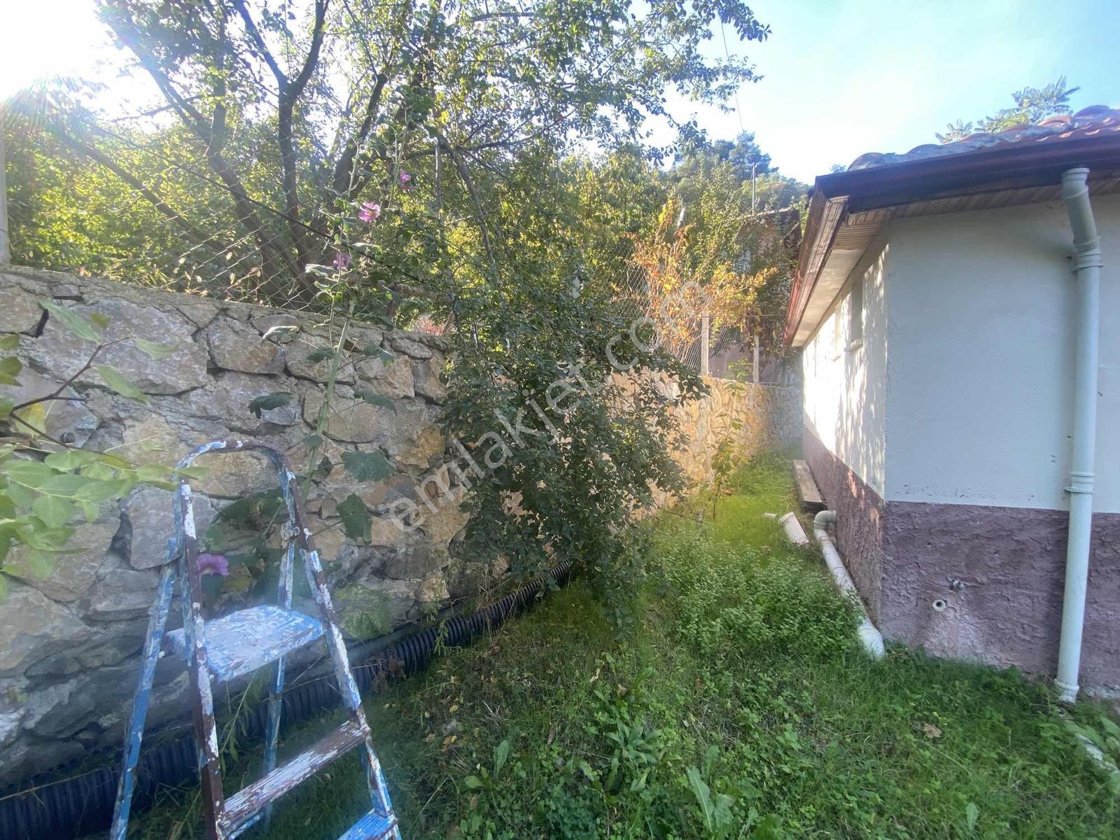 Amasya Yeşilyenice Karaağaç Mevki Satılık Bağ /bahçe 820 Mk. — fotoğraf 5