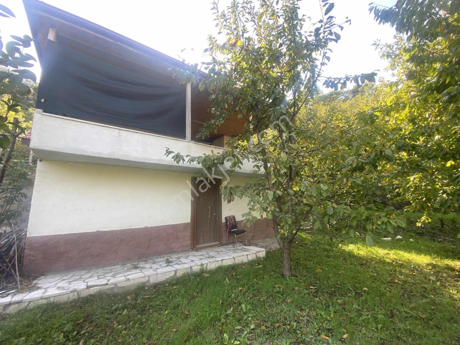 Amasya Yeşilyenice Karaağaç Mevki Satılık Bağ /bahçe 820 Mk. — fotoğraf 15