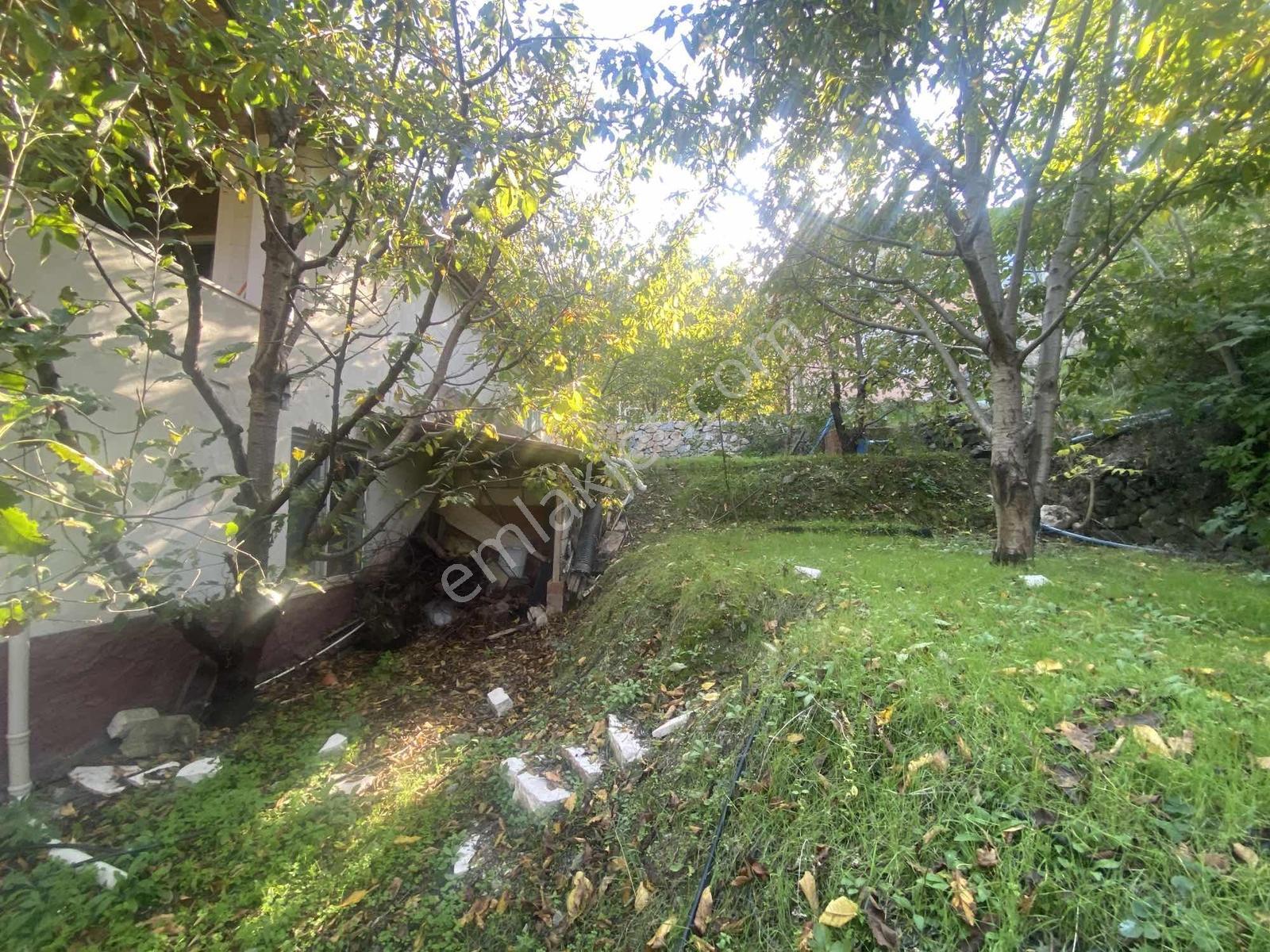 Amasya Yeşilyenice Karaağaç Mevki Satılık Bağ /bahçe 820 Mk. — fotoğraf 16