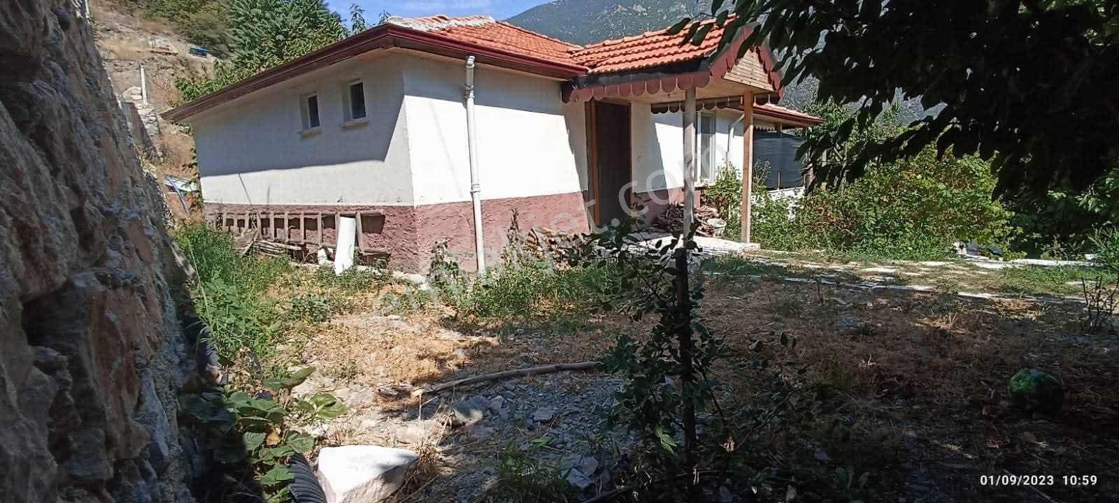 Amasya Yeşilyenice Karaağaç Mevki Satılık Bağ /bahçe 820 Mk. — fotoğraf 19
