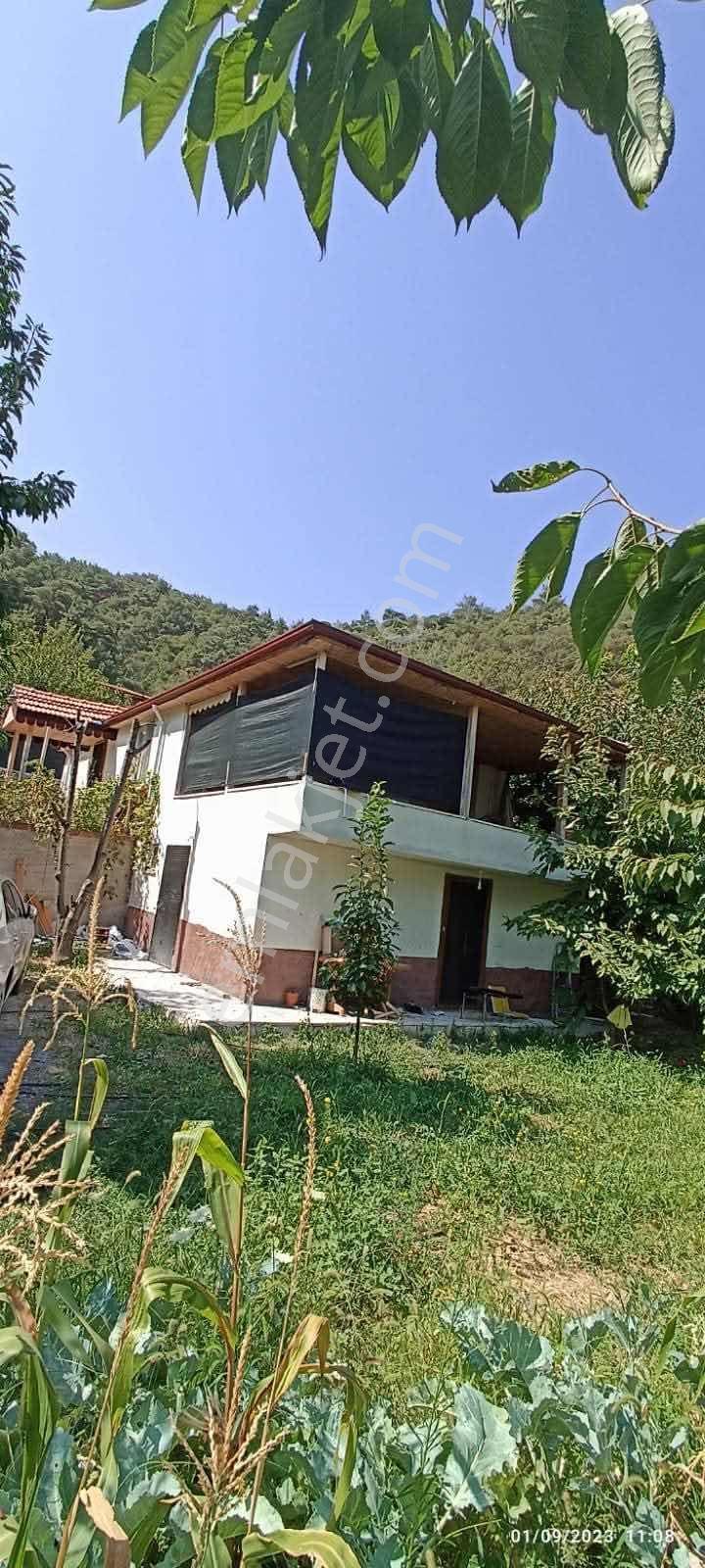 Amasya Yeşilyenice Karaağaç Mevki Satılık Bağ /bahçe 820 Mk. — fotoğraf 20