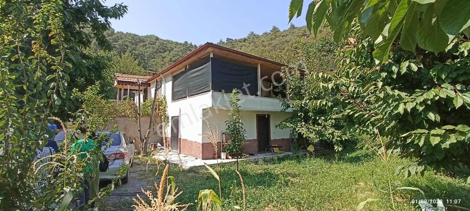 Amasya Yeşilyenice Karaağaç Mevki Satılık Bağ /bahçe 820 Mk. — fotoğraf 30