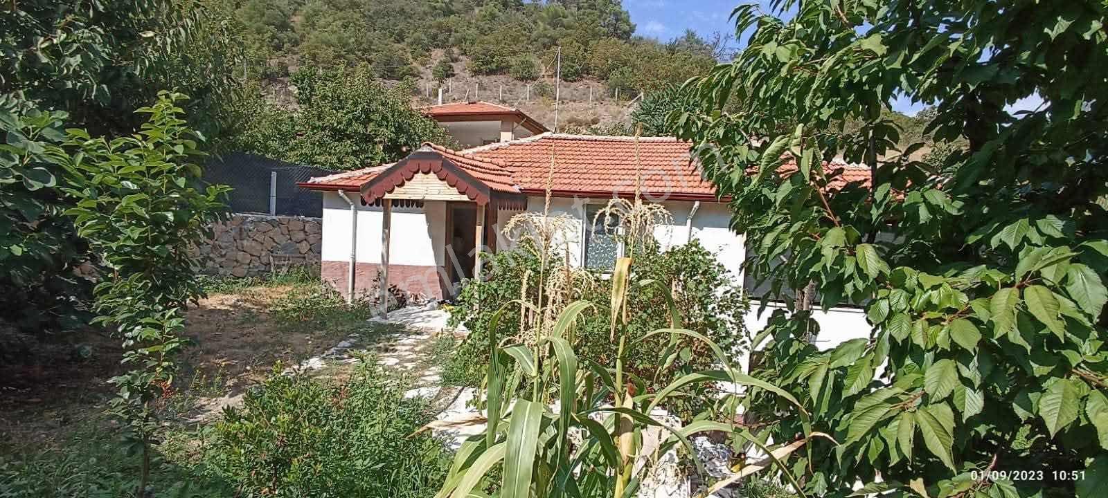 Amasya Yeşilyenice Karaağaç Mevki Satılık Bağ /bahçe 820 Mk. — fotoğraf 31
