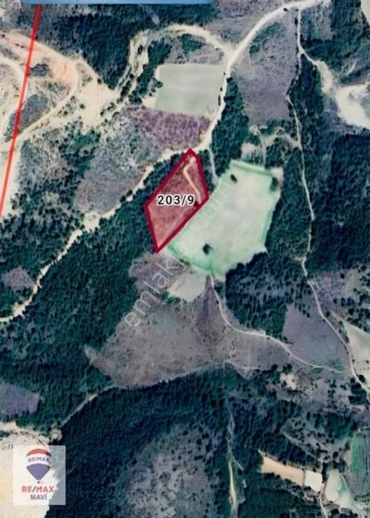 Remax Mavi Bilecik Merkezçukurören Mermer Bölgesi Satılık Tarla