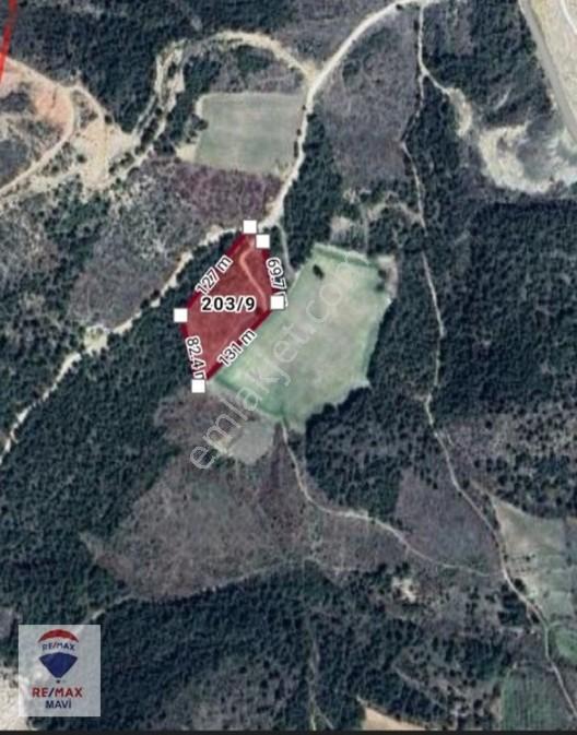 Remax Mavi Bilecik Merkezçukurören Mermer Bölgesi Satılık Tarla — fotoğraf 4