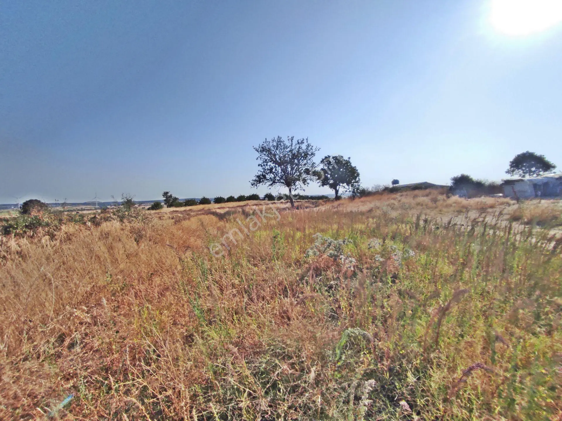 Edirne Enez Karaincirli Köyünde 1540,m2-bahçe — fotoğraf 7