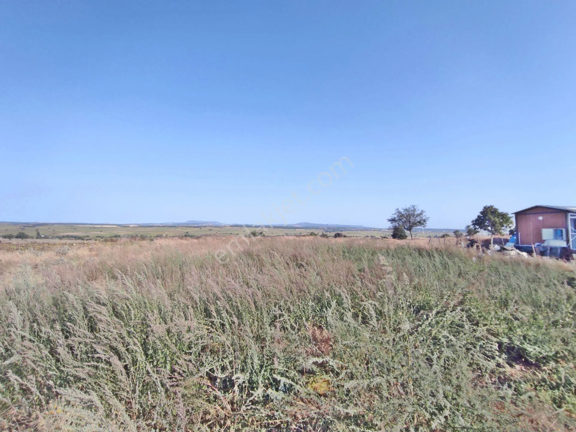 Edirne Enez Karaincirli Köyünde 1540,m2-bahçe — fotoğraf 8