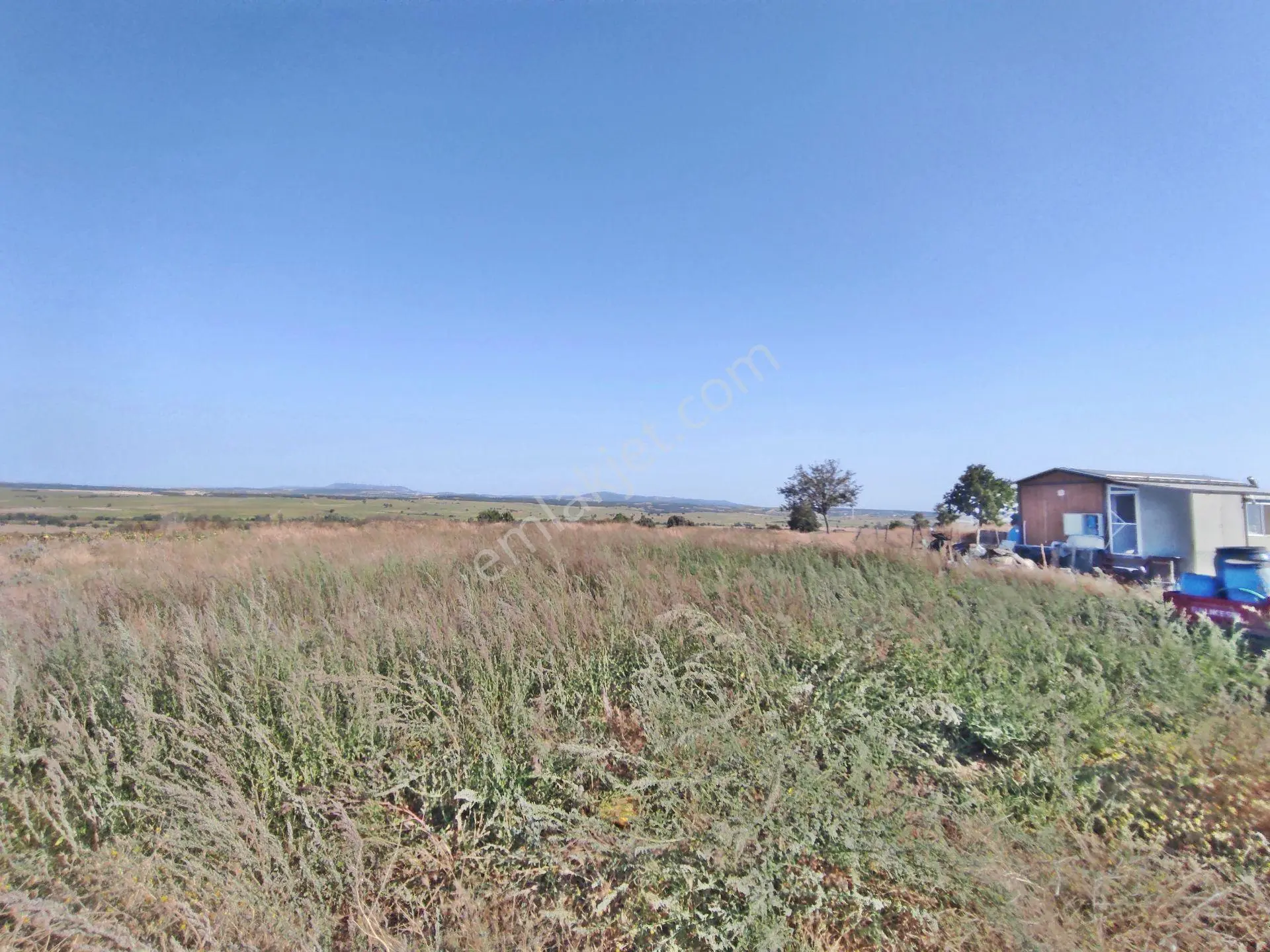 Edirne Enez Karaincirli Köyünde 1540,m2-bahçe — fotoğraf 15