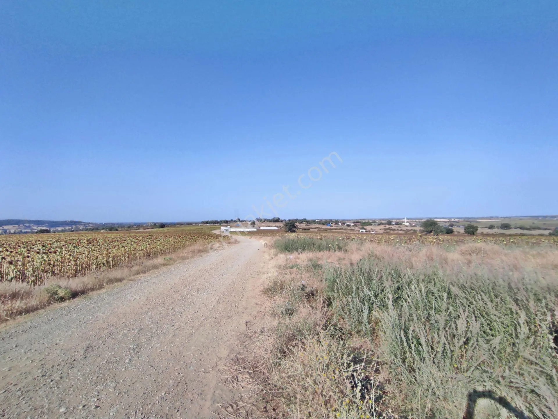 Edirne Enez Karaincirli Köyünde 1540,m2-bahçe — fotoğraf 16