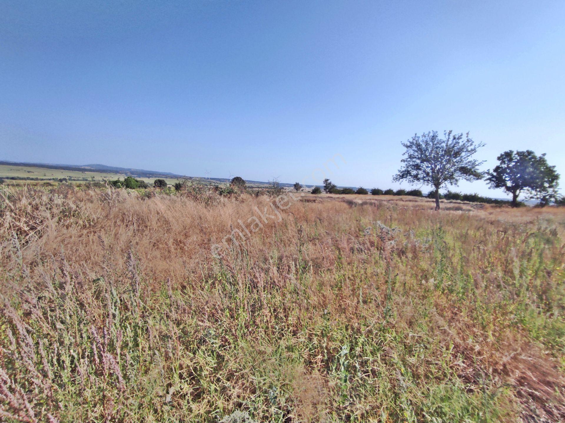 Edirne Enez Karaincirli Köyünde 1540,m2-bahçe — fotoğraf 18