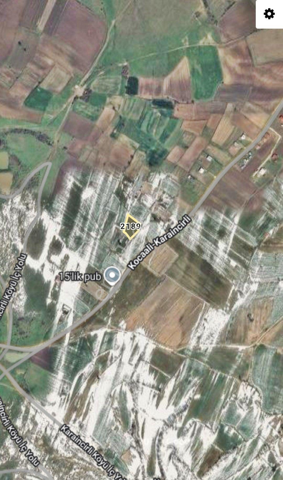 Edirne Enez Karaincirli Köyünde 1540,m2-bahçe — fotoğraf 22
