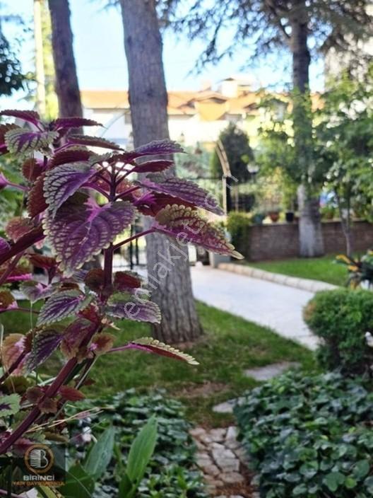 1.Yapı'Dan Hallaçlar'Da Mega 5+1 Tam Köşe Villanız