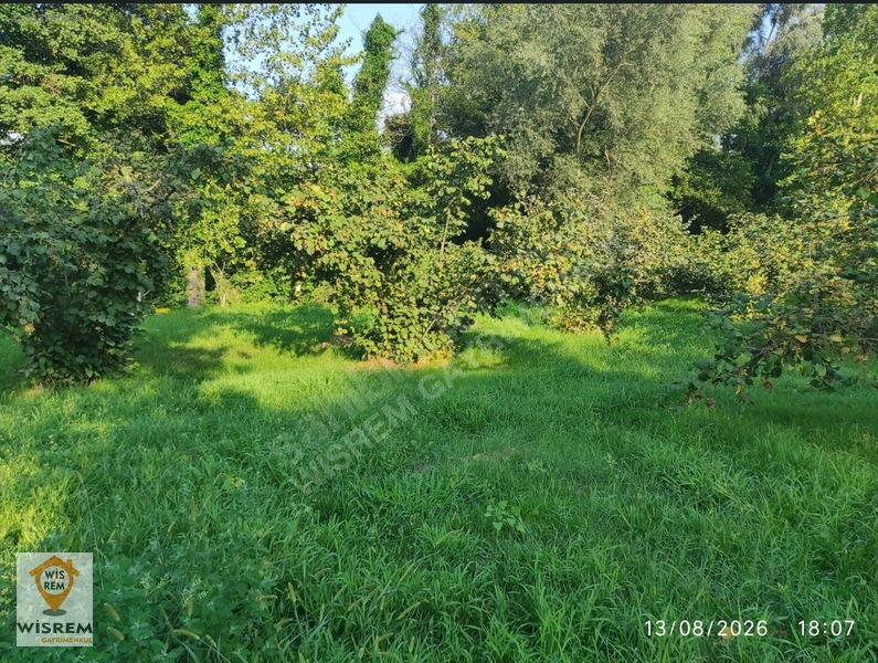 Denize 500 Metre Mesafe - Dere Kenarı - Hisseli Satılık Fındık