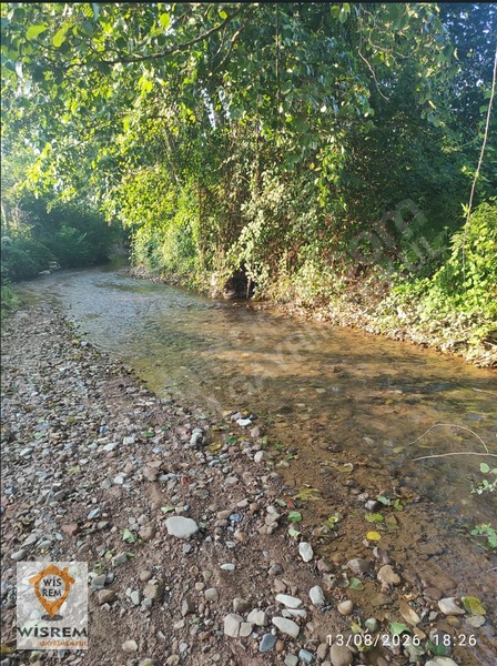 Denize 500 Metre Mesafe - Dere Kenarı - Hisseli Satılık Fındık — fotoğraf 4