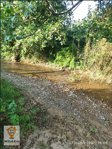 Denize 500 Metre Mesafe - Dere Kenarı - Hisseli Satılık Fındık — fotoğraf 5