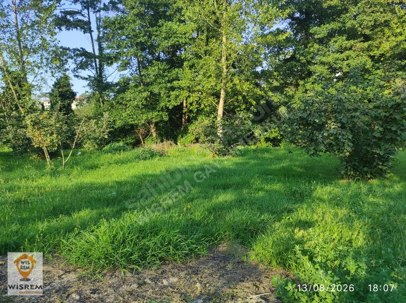 Denize 500 Metre Mesafe - Dere Kenarı - Hisseli Satılık Fındık — fotoğraf 7