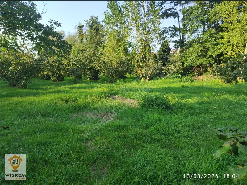 Denize 500 Metre Mesafe - Dere Kenarı - Hisseli Satılık Fındık — fotoğraf 11