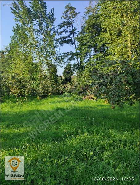 Denize 500 Metre Mesafe - Dere Kenarı - Hisseli Satılık Fındık — fotoğraf 15