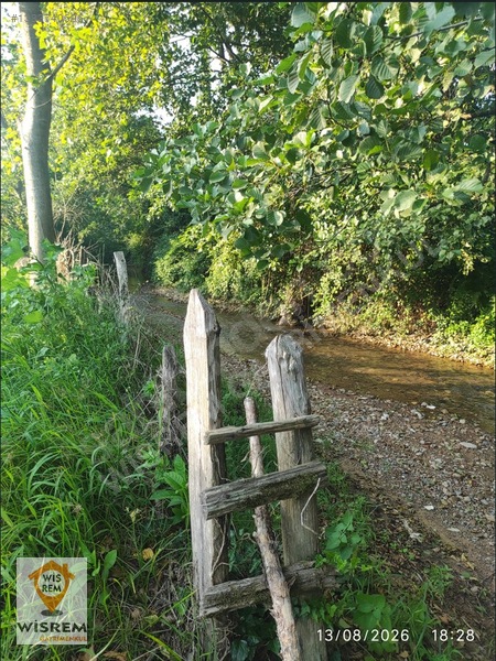 Denize 500 Metre Mesafe - Dere Kenarı - Hisseli Satılık Fındık — fotoğraf 16