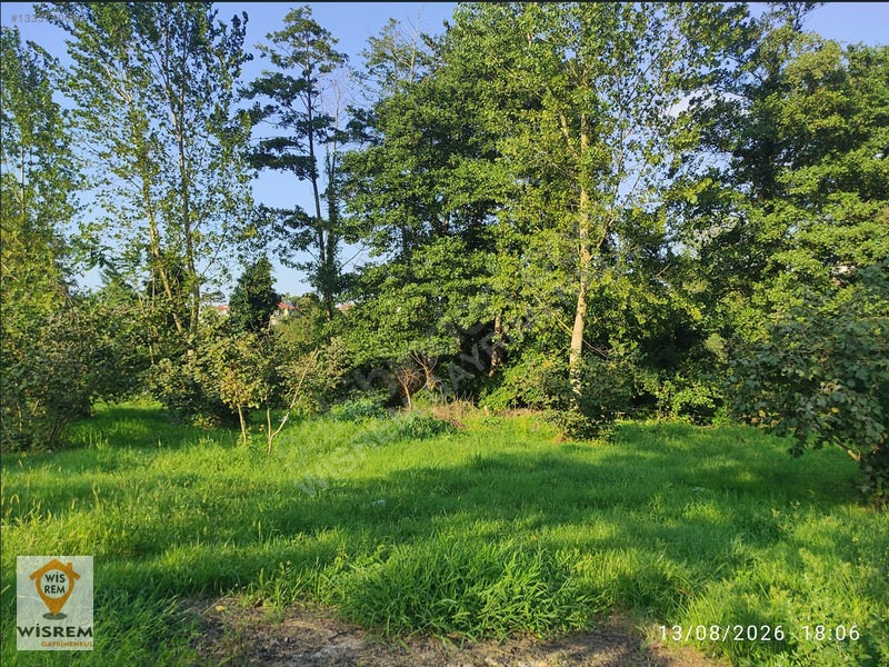 Denize 500 Metre Mesafe - Dere Kenarı - Hisseli Satılık Fındık — fotoğraf 17
