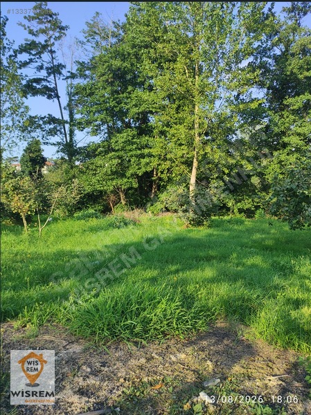 Denize 500 Metre Mesafe - Dere Kenarı - Hisseli Satılık Fındık — fotoğraf 18