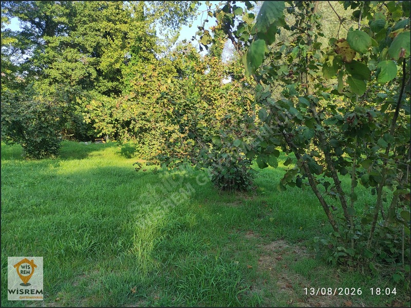 Denize 500 Metre Mesafe - Dere Kenarı - Hisseli Satılık Fındık — fotoğraf 21