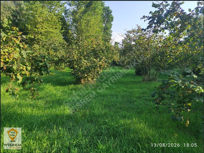 Denize 500 Metre Mesafe - Dere Kenarı - Hisseli Satılık Fındık — fotoğraf 22