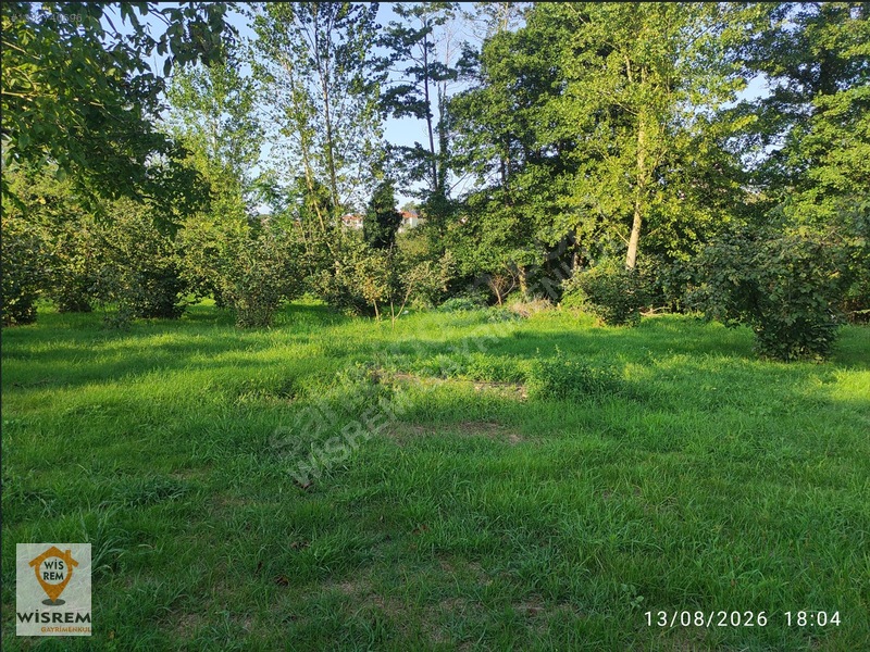 Denize 500 Metre Mesafe - Dere Kenarı - Hisseli Satılık Fındık — fotoğraf 28