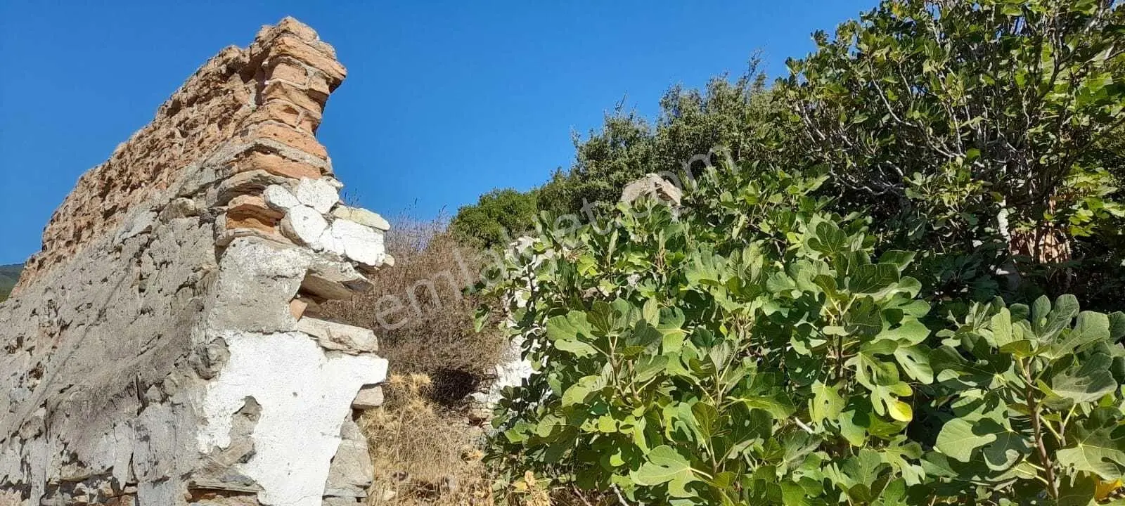 Eski Doğanbey'de Satılık Avlulu Taş Ev(harabe) — fotoğraf 2