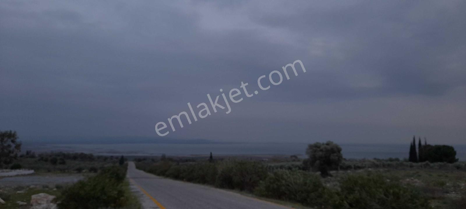 Eski Doğanbey'de Satılık Avlulu Taş Ev(harabe) — fotoğraf 8