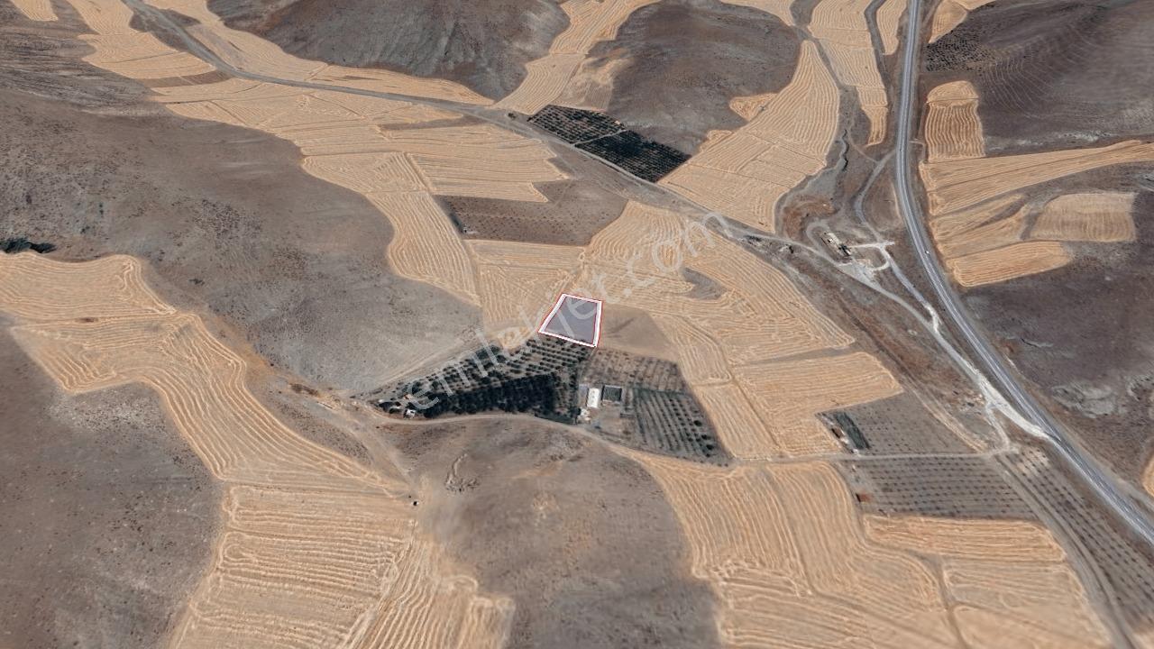 Remax Toros'tan Ulukışla Bayağıl Köyü'nde Satılık Tarla — fotoğraf 16