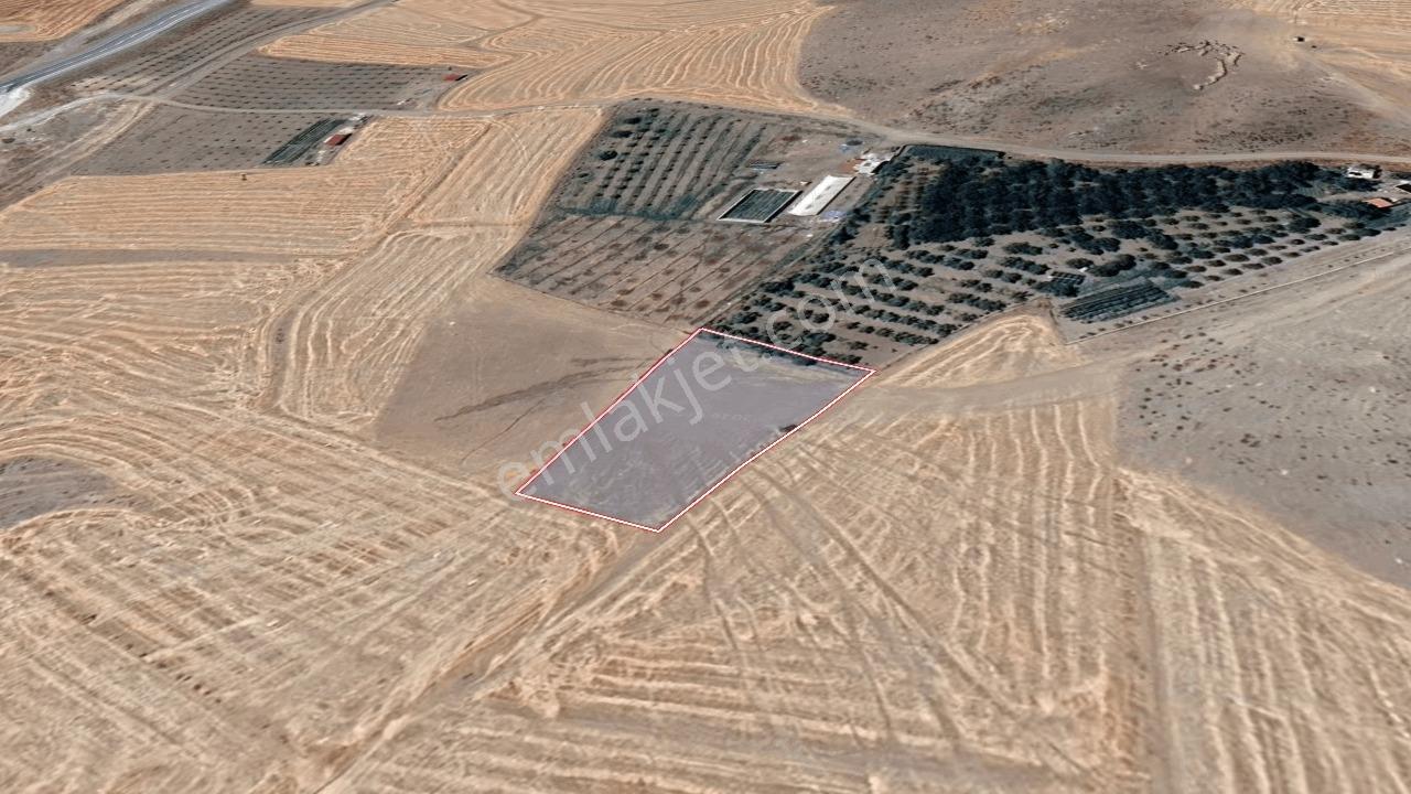 Remax Toros'tan Ulukışla Bayağıl Köyü'nde Satılık Tarla — fotoğraf 21
