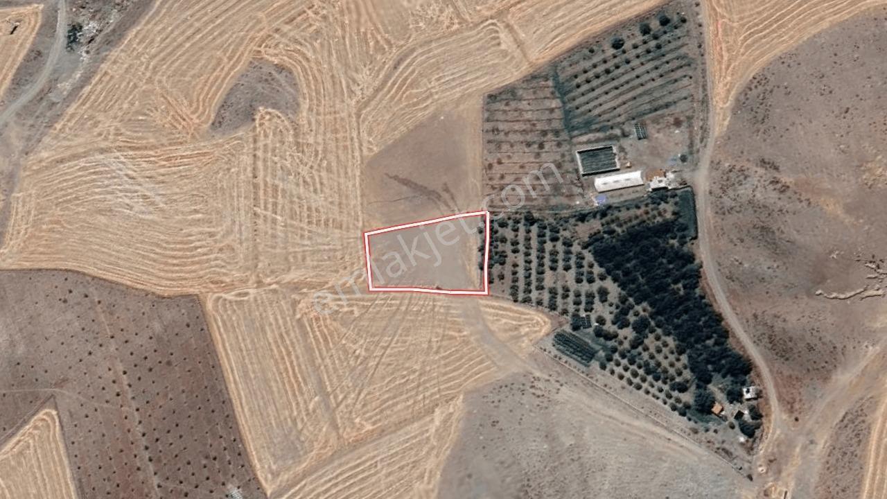 Remax Toros'tan Ulukışla Bayağıl Köyü'nde Satılık Tarla — fotoğraf 22