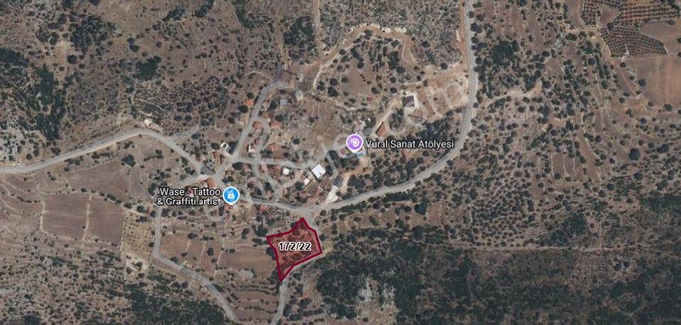 Stop’Tan Seydikemer Dodurga’Da Yerleşkeye Yakın Satılık 2.895M² Zeytinlik