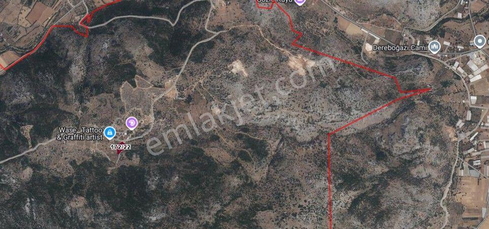 Stop’tan Seydikemer Dodurga’da Yerleşkeye Yakın Satılık 2.895m² Zeytinlik — fotoğraf 2