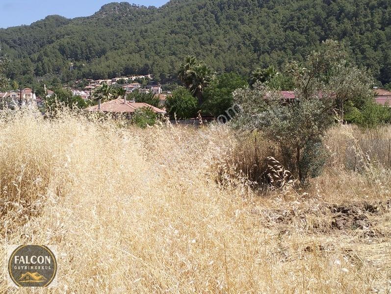 Falcon Dan Üzümlü De 648m² 20/40 İmarlı Fırsat Arsa — fotoğraf 10